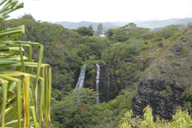 kauai (65)