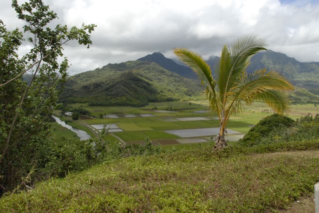 kauai (73)