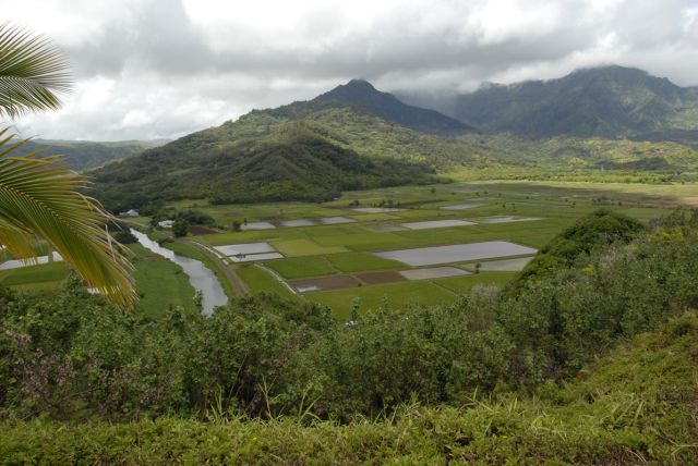 kauai (74)