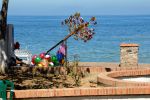 Puorto Vallarta (31)