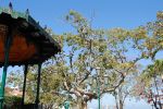 Puorto Vallarta (100)