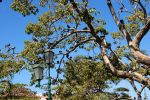 Puorto Vallarta (102)