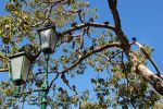 Puorto Vallarta (104)