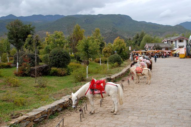 lijiang (22)