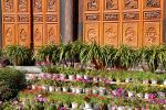 lijiang (49)