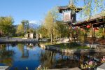 lijiang (70)