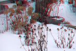 Ice and Snow